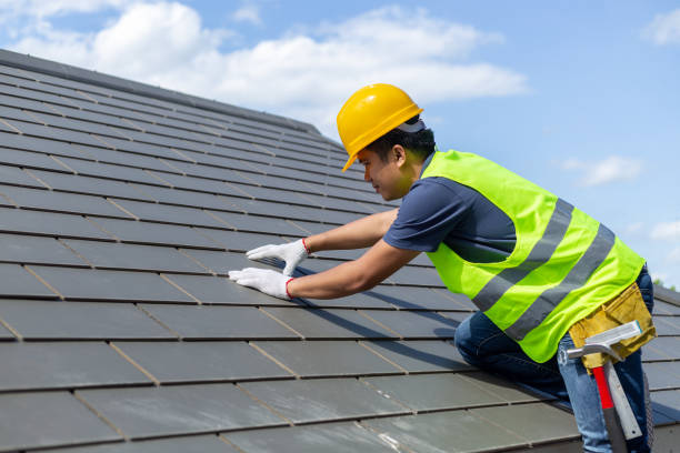 Best Roof Gutter Cleaning  in Tremont, PA