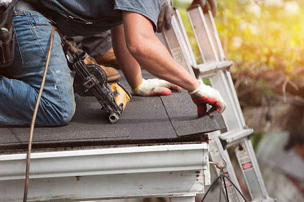 Roof Gutter Cleaning in Tremont, PA
